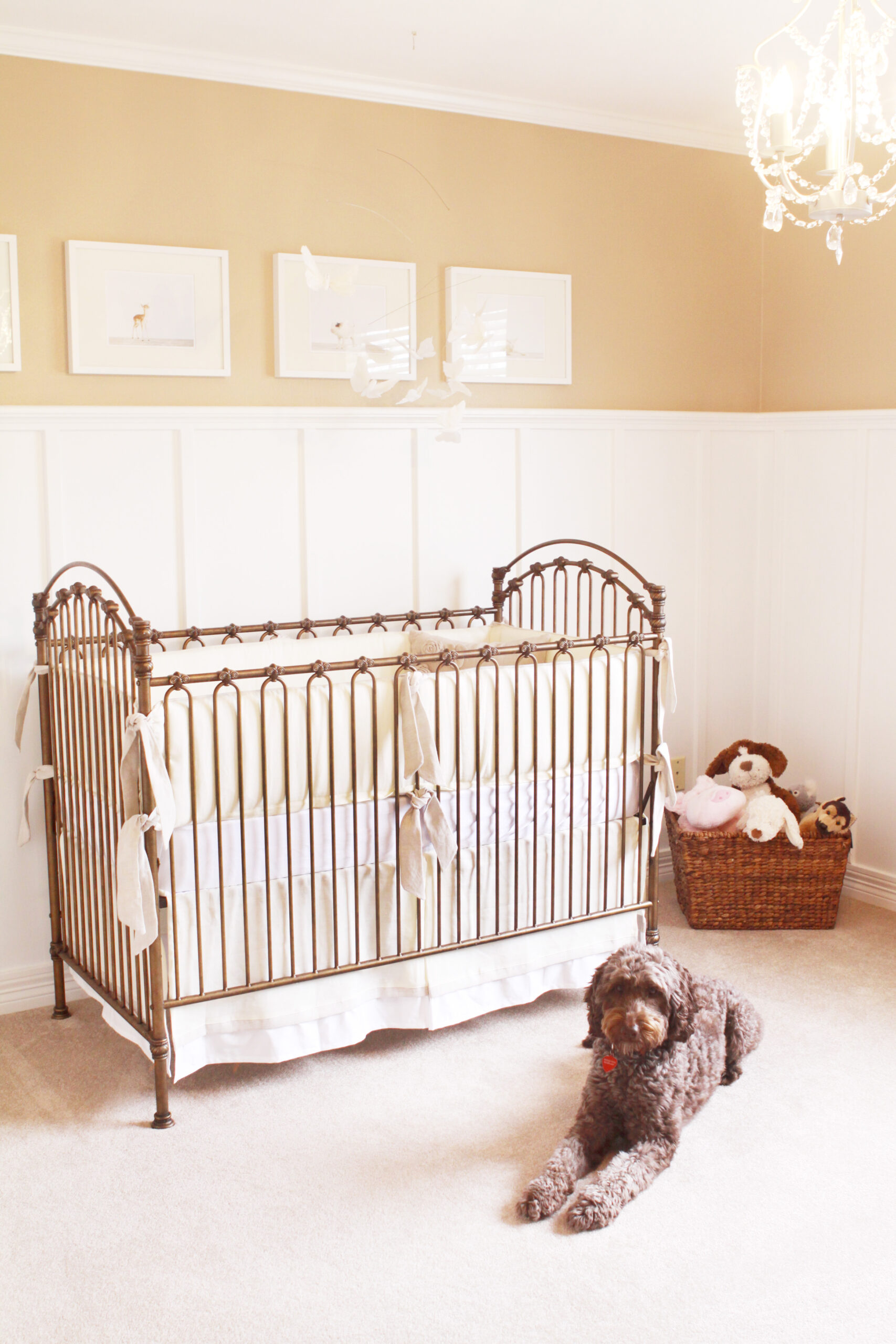 Katherine's Nursery - Project Nursery