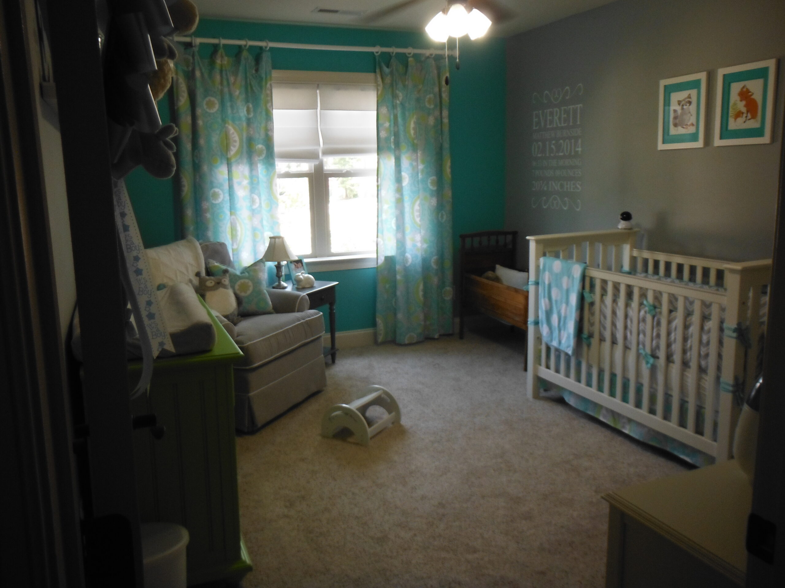 Everett's Woodland Nursery - Project Nursery