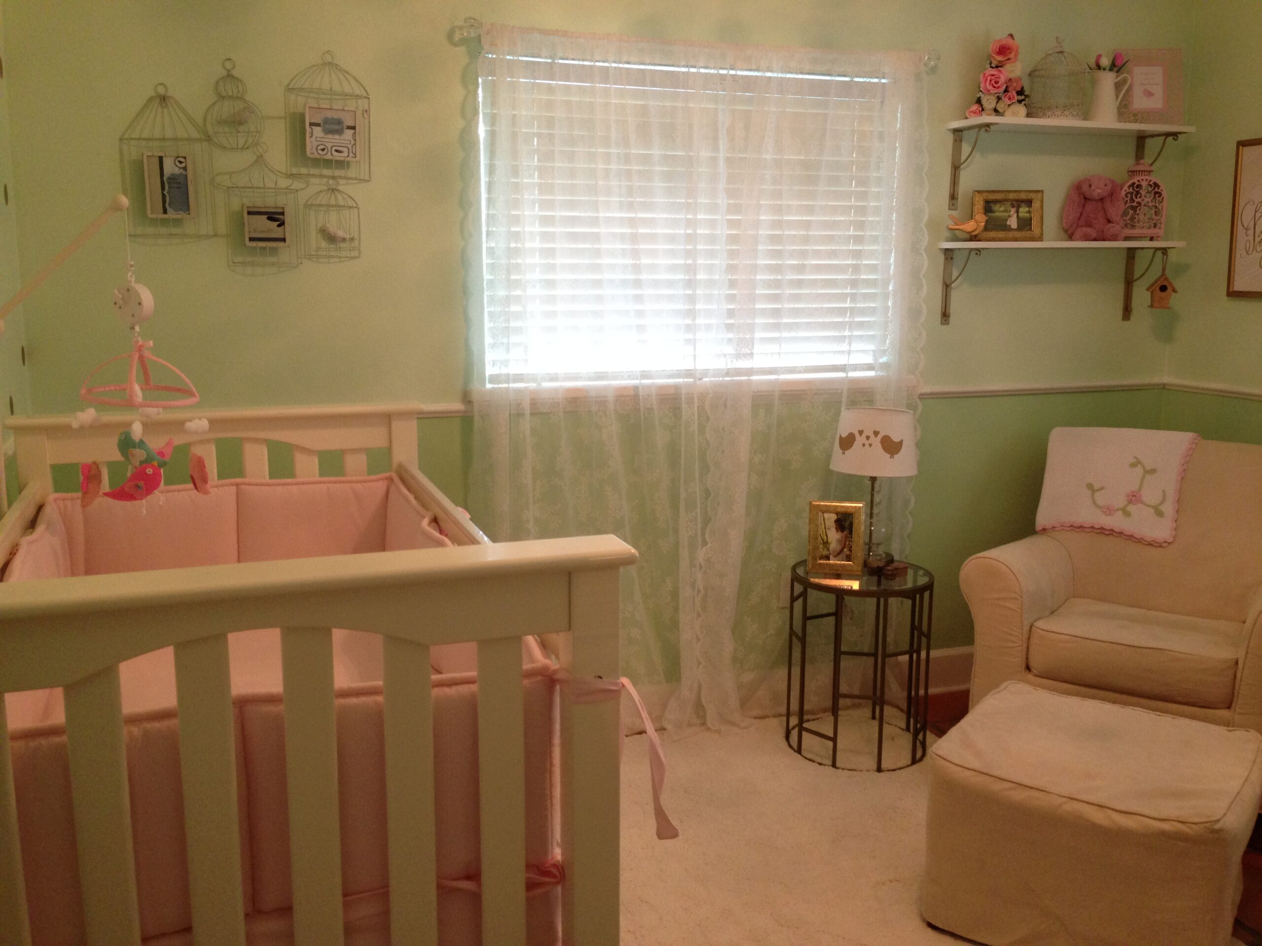 Allie's Birdie Nursery - Project Nursery