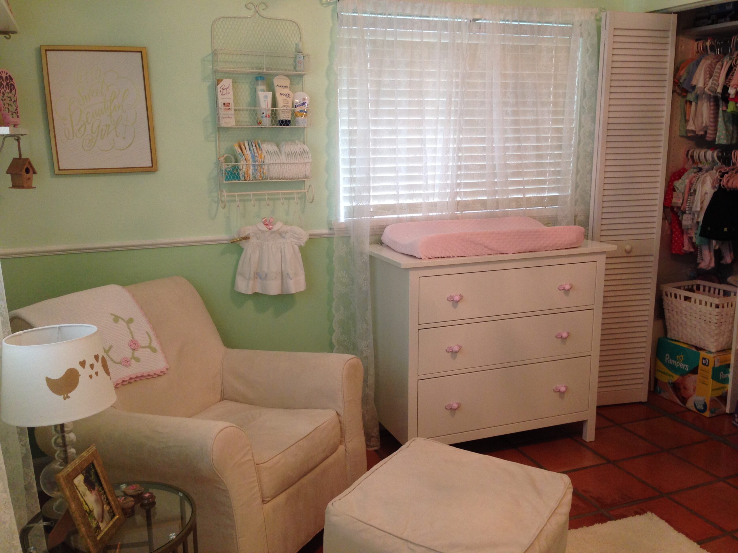 Allie's Birdie Nursery - Project Nursery