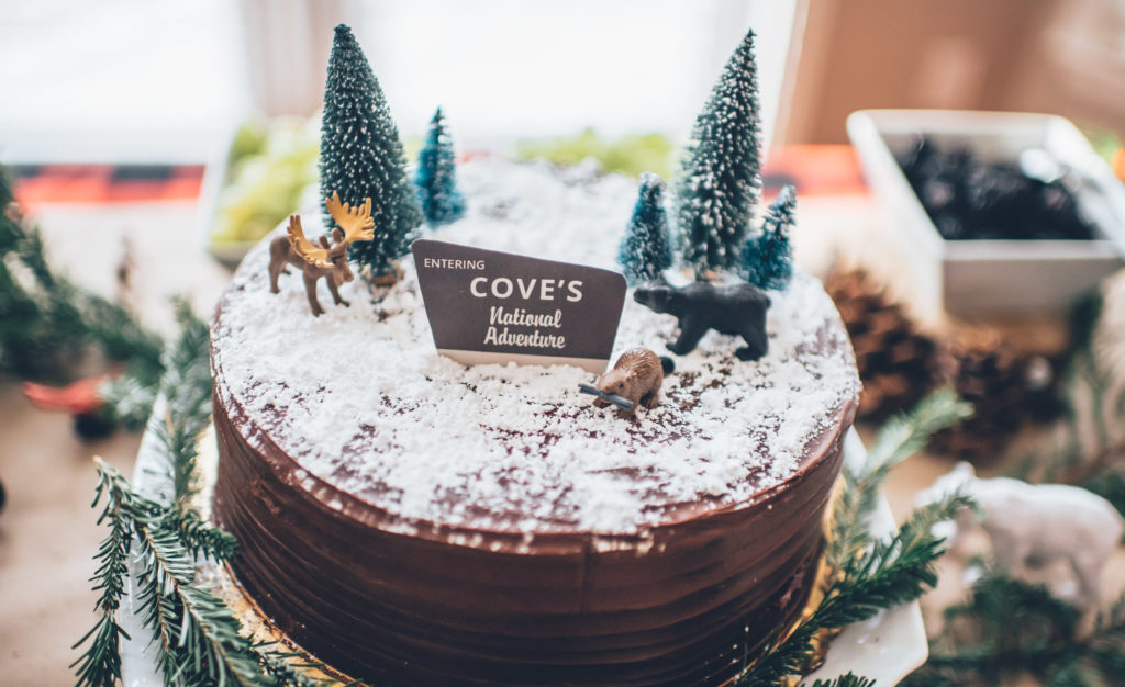 Woodland Cake