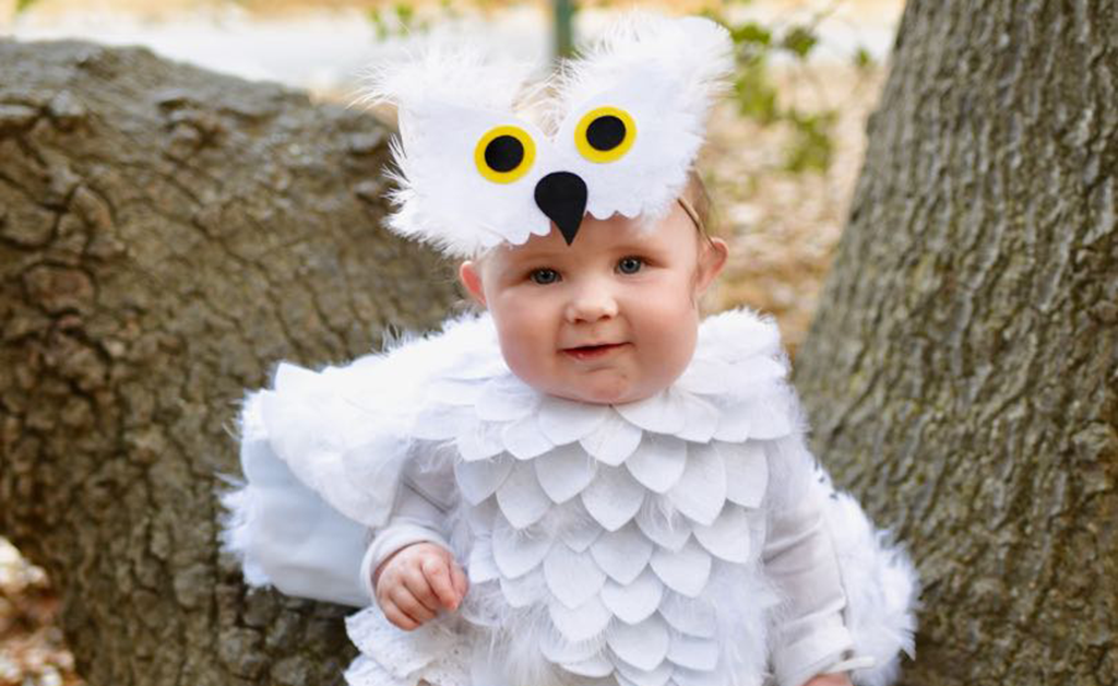 Owl Halloween Costume